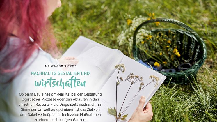 Überblick zur Nachhaltigkeit bei dm-drogerie markt