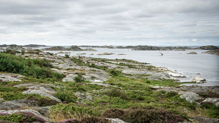HaV-analys: Fiske bör regleras ytterligare i 30 marina skyddade områden i Sverige 