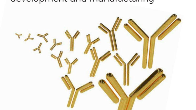 Supporting advances in MAb process development and manufacturing