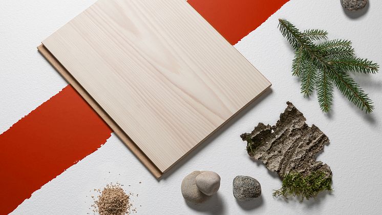 BJELIN-CUREDSPRUCE 2