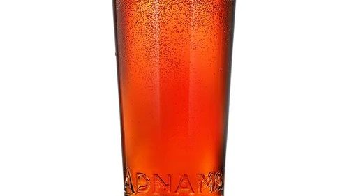 AdnamsSouthwoldBitterPint_500x500