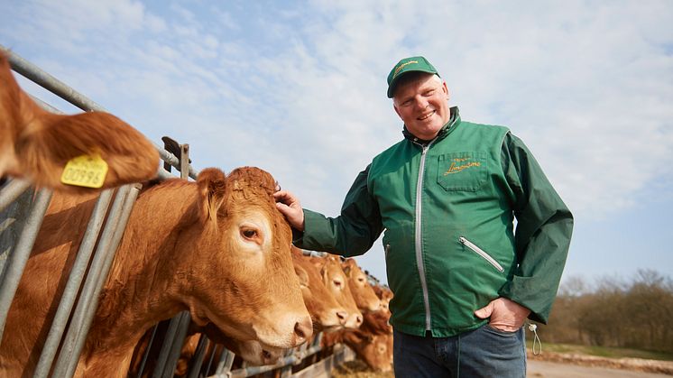 Fritidslandmand Jan Winum Povlsen har mange års erfaring med avl af limousinekvæg. Nu står han fra hovedkvarteret i Brørup i spidsen for en webshop, der vil mindske forbruget af billigt og importeret oksekød.
