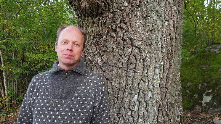 Mulmholkar ger nya svar på frågor om biologisk mångfald