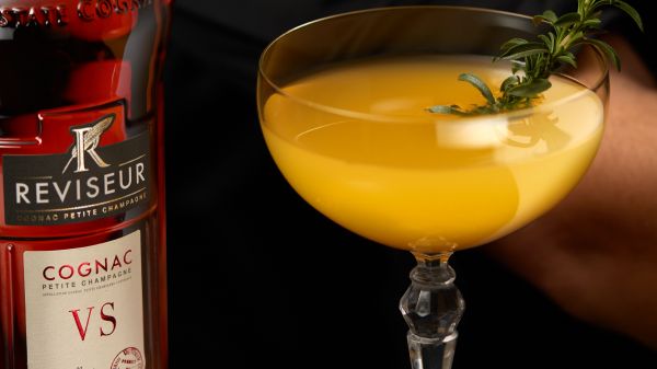 reviseur VS coctail-side-car.jpg