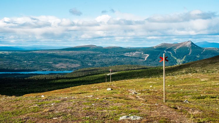 Sommar i Lofsdalen