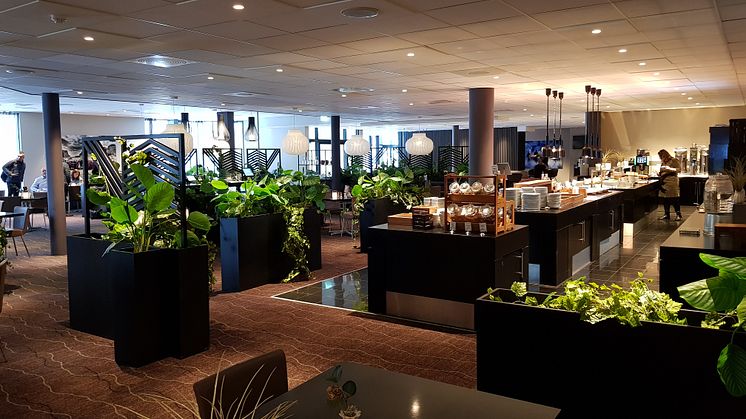 Kopi av 20220131_121405.jpg