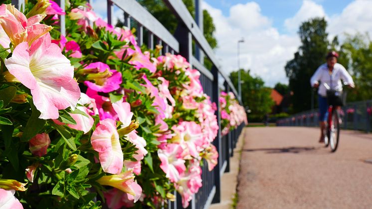 Blommor och cyklist vid Sandgrundsbron