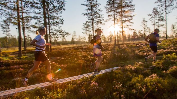 Soluppgång i Ultravasan 2015