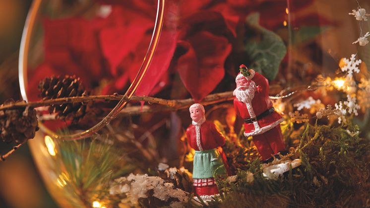 Att skapa miniatyrlandskap med julstjärnor är roligt både för små och stora.