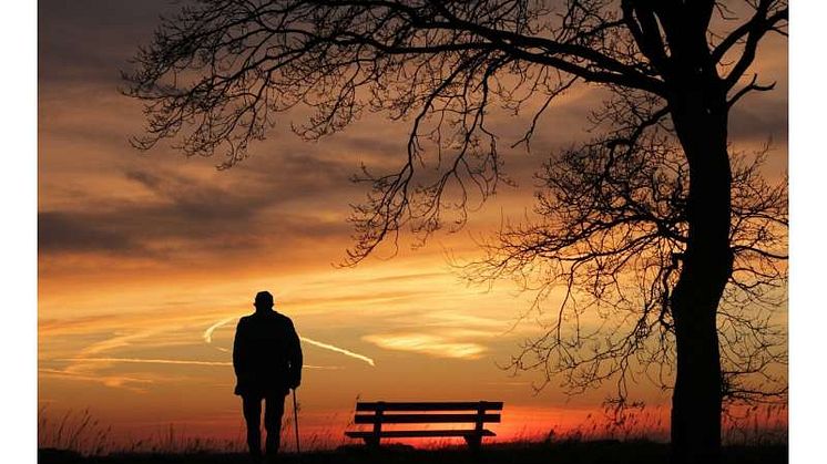 En ny studie visar att effekterna av ensamhet och depression skiljer sig åt. Foto: CC0 Public Domain