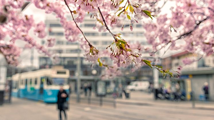 SecureLink Spring Security Conference to be held in Gothenburg