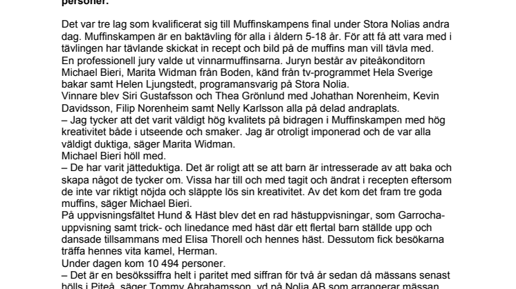 Muffinskamp och line-dance med häst under Stora Nolias andra dag