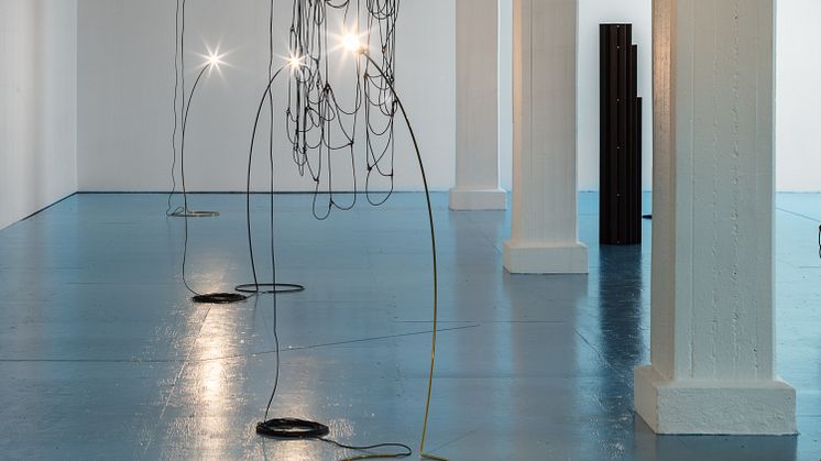Discrepancies with G.G. av Leonor Antunes på Tensta konsthall