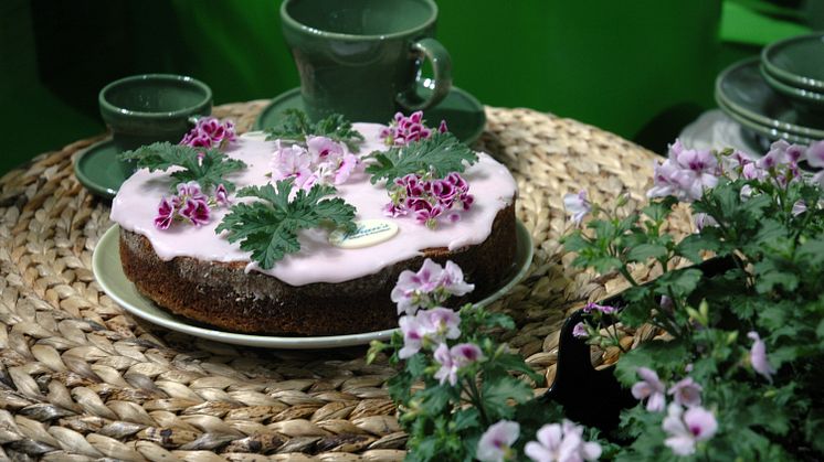 Johans Pelargonkaka