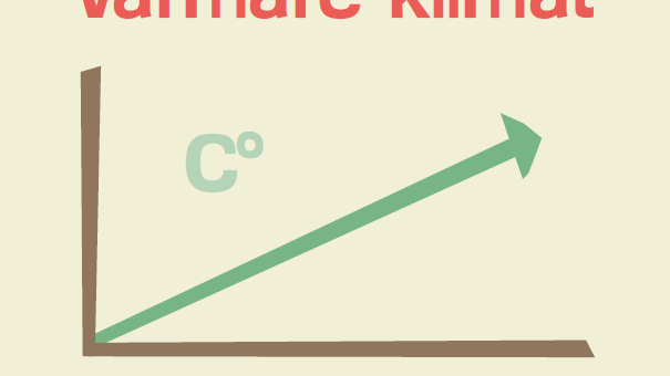 Ny rapport från Vi-skogen visar på ökad svensk klimatrapportering