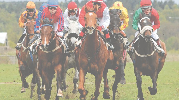 Göteborg Galopp