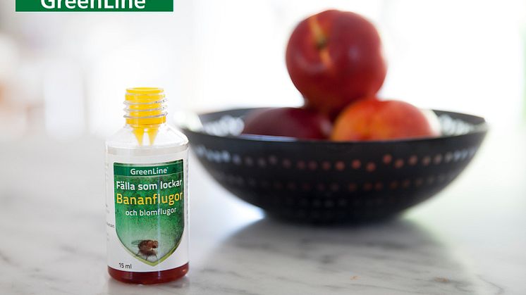 GreenLine Fälla som lockar bananflugor och blomflugor