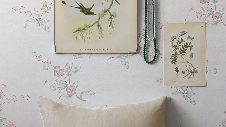 A Vintage Book Joséphine