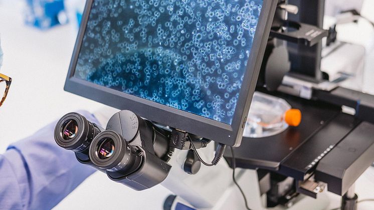 Anocca researcher in R&D facility 