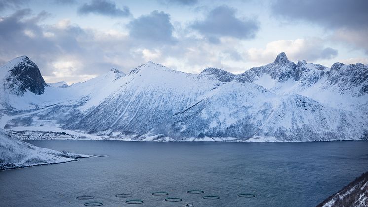 Nachhaltige Aquakultur in Norwegen