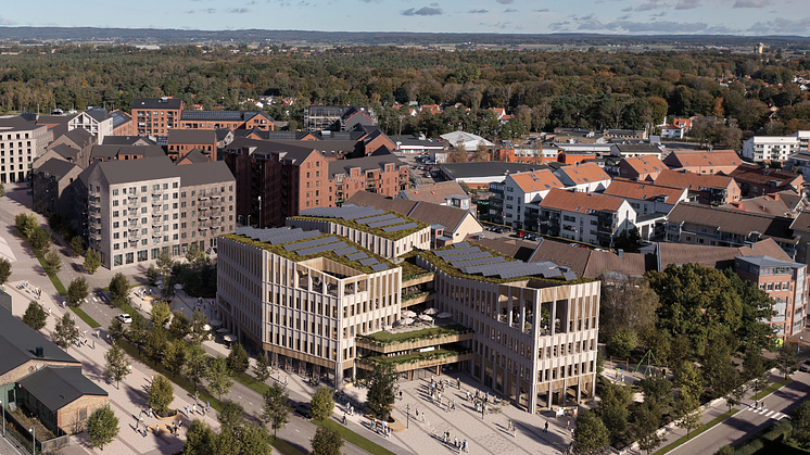 Visualisering Översikt LIljewalls SSEA