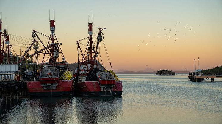 MSC-sertifioidut kalastukset auttavat suojelemaan meriämme