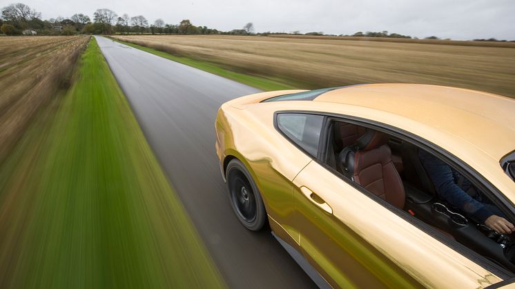 The Golden Mustang