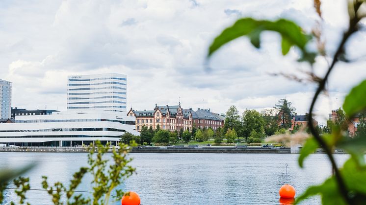 Umeå 