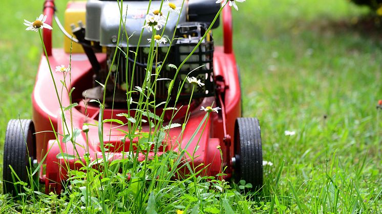 Aus Grasschnitt entsteht ein wertvoller Energielieferant