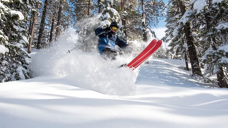 Stöten Snö Skidåkning_7508419