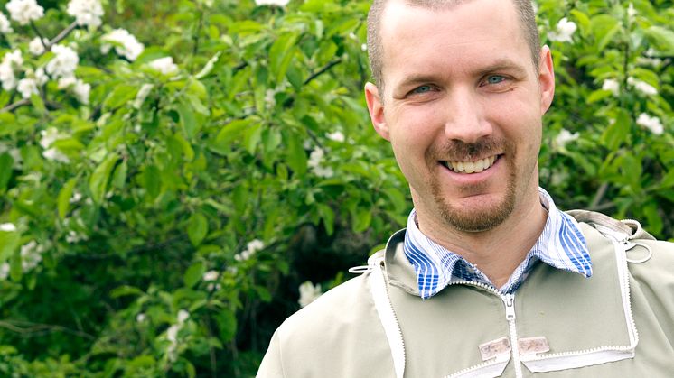 Biodlaren Martin Svensson från företaget Binära sätter ut bin på Kiviks musteri.