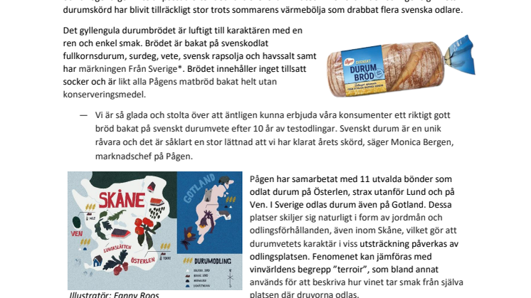 Pågen lanserar det första brödet bakat på svenskodlat durumvete