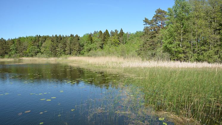 ​Miljonbidrag till hållbarhetsarbete i Väsjön