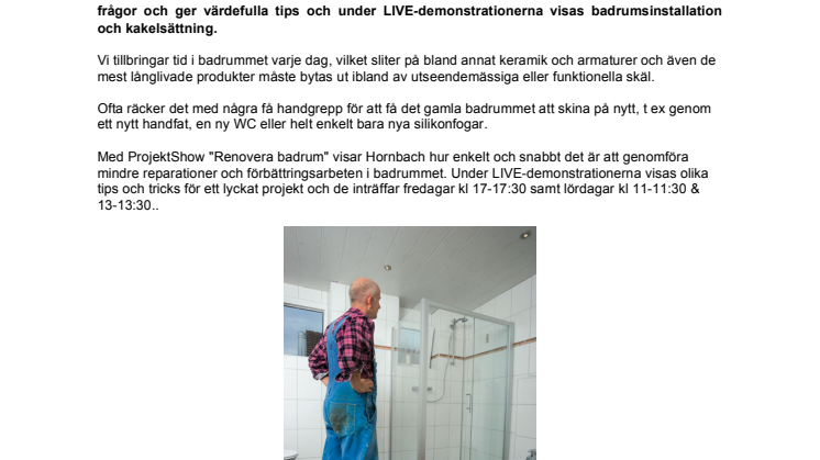 ProjektShow: Renovera badrum