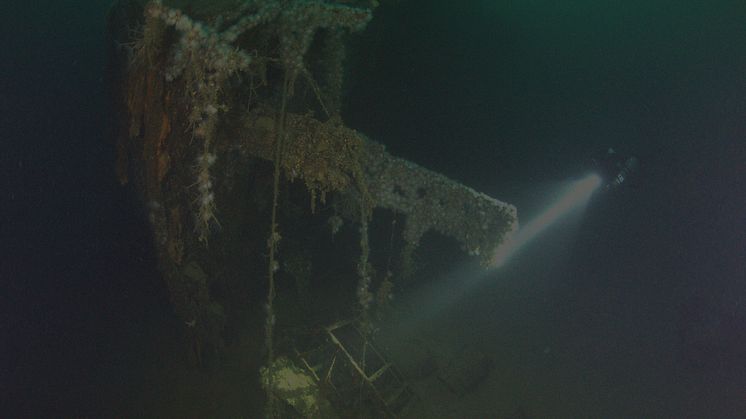 Hekken av vraket av «Georg Thiele» ligger på ca. 50 m dyp i Rombakfjorden øst for Narvik og bærer preg av tidens tann. Sjøanemoner, hydroider og børstemark har funnet et egnet levested på vraket. Foto: Aksel Sveum