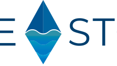 bluestone-logo-col.png