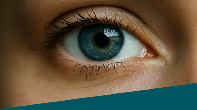 EPSI Optikkoliikkeet 2025 Study summary.pdf