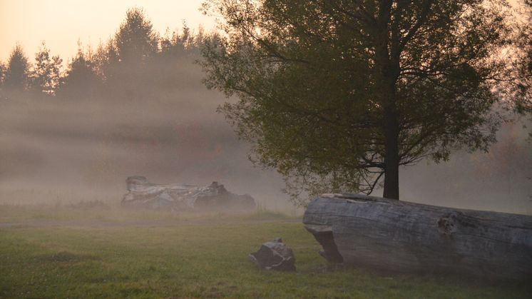 Invigning av Filborna skogspark den 22 oktober