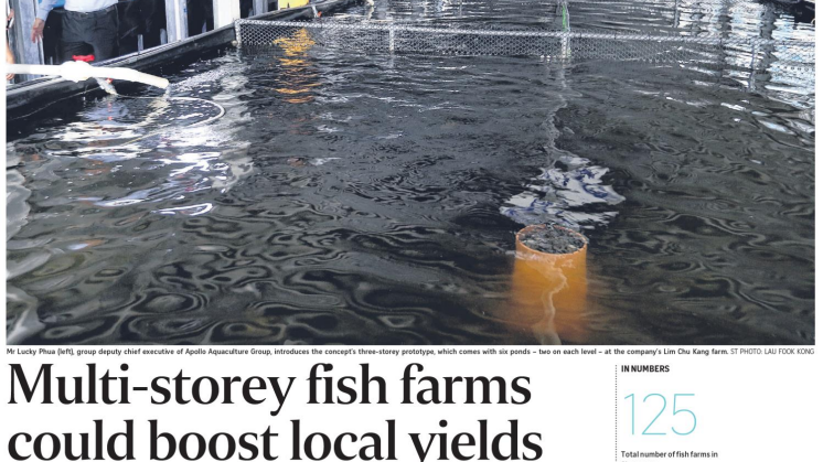 Surbana Jurong works with farm to unveil floating pond concept
