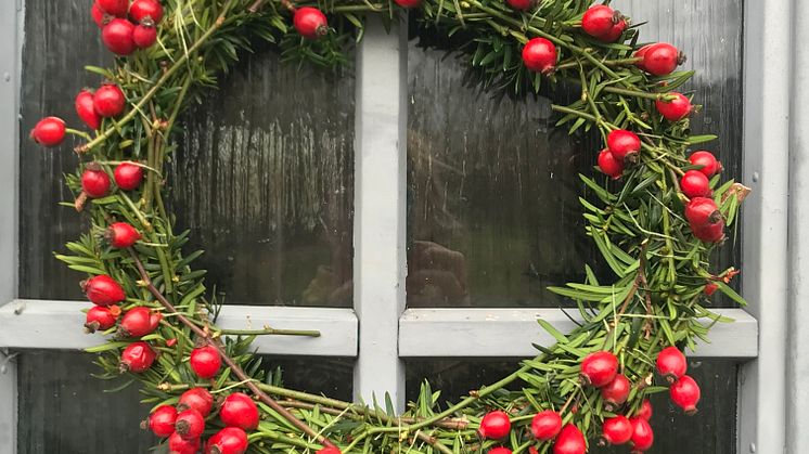 1 dec Vin och te kväll tillsammans. Avd Kalmar län
