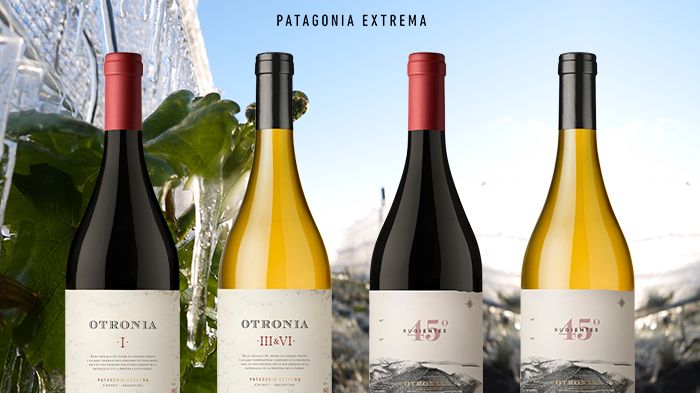 Otronia Block 1 och Otronia Block 3&6 i BS samt Otronia Rugientes Pinot Noir och Corte de Blancas i exklusiv lansering