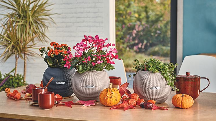 Stilvolle Herbstdeko für Ihr Zuhause