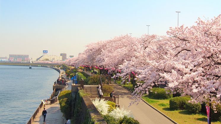 Sumida Park