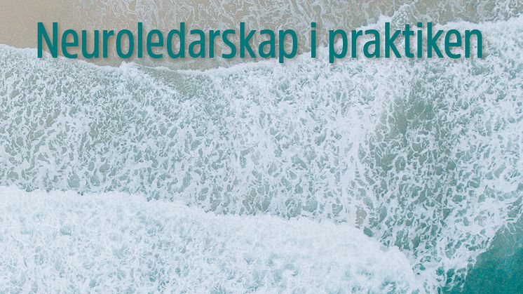 OmslagFeedbackrevolutionen hög