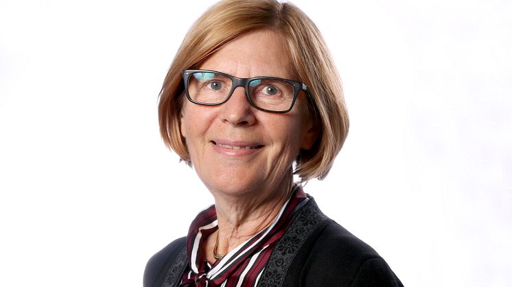 Stina Blombäck, Styrelseledamot Wibax