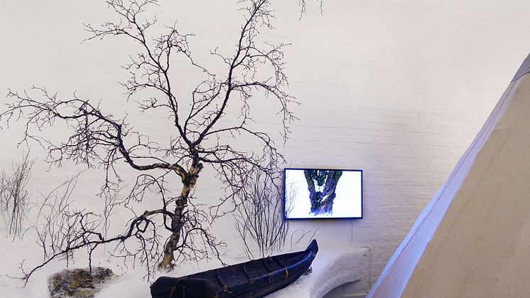Susanne Jablonski, After Nature, 2017 på Ájtte, Svenskt Fjäll- och Samemuseum