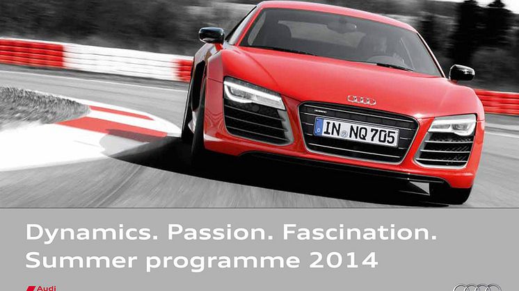 Audi driving experience