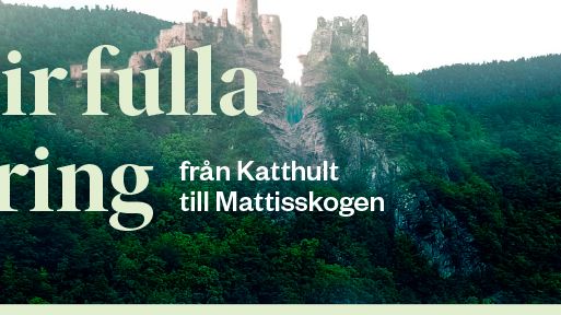 Bena blir fulla med spring