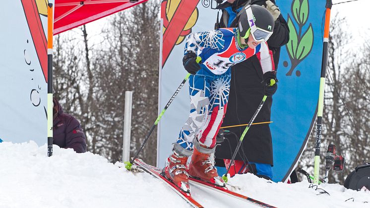 Donald Duck Wintergames