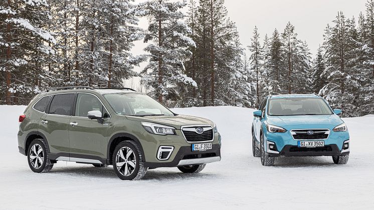 Världens säkraste bilar heter Subaru